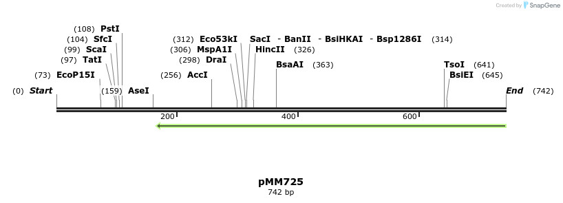 126253_map