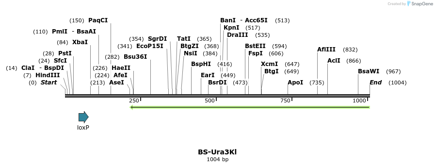 126256_map