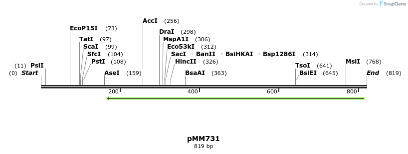 126258_map