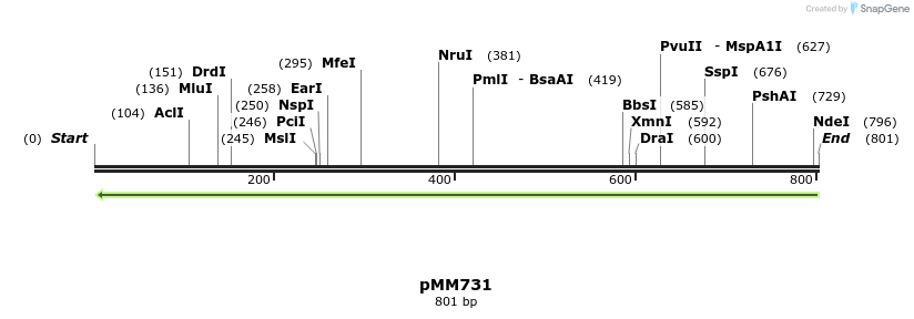 126259_map