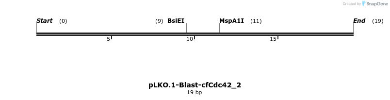 12626_map