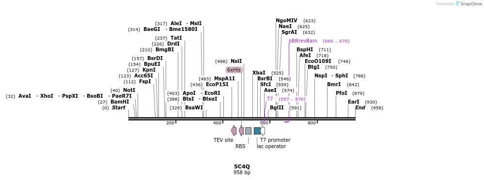 126261_map