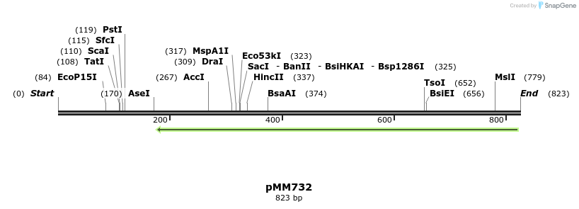 126262_map