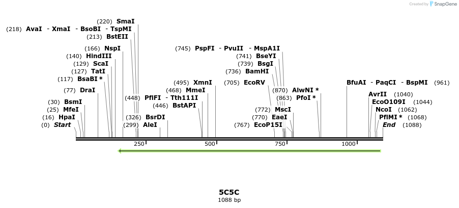 126265_map