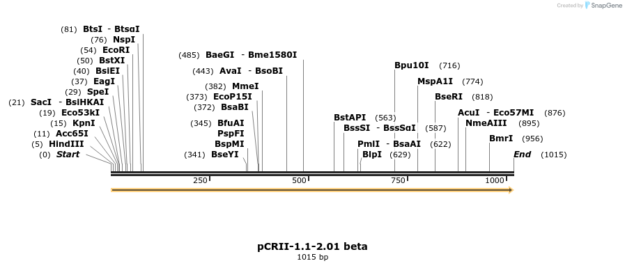 126266_map