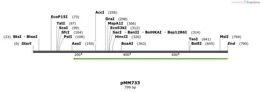 126267_map