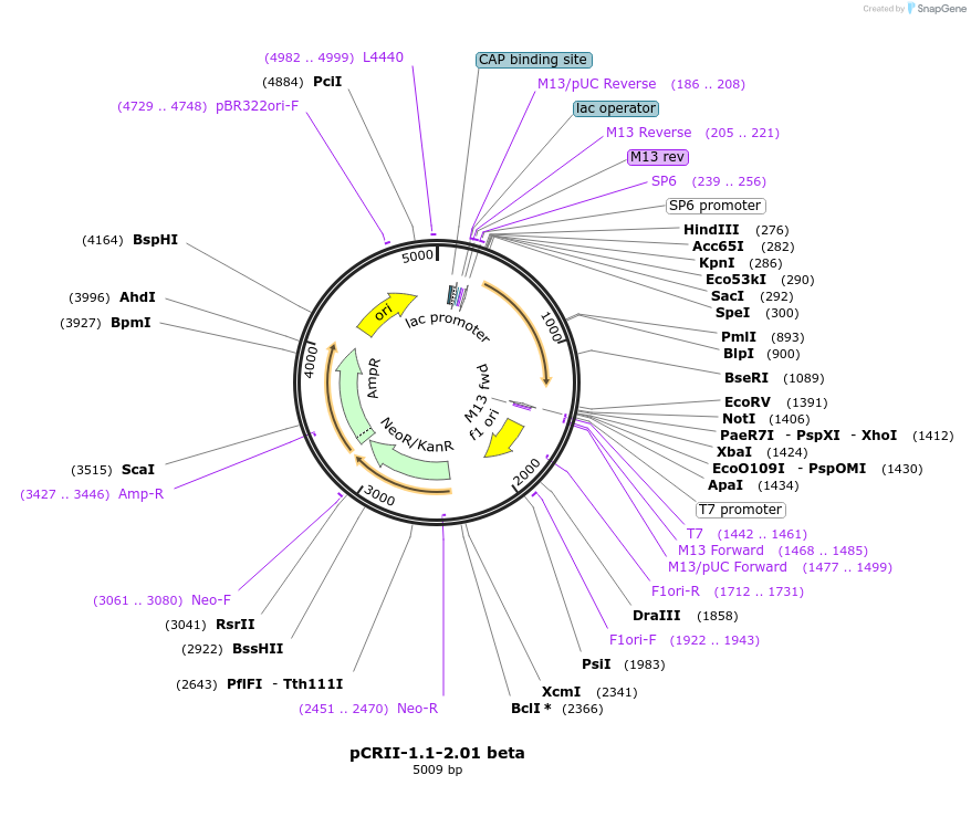 126268_map