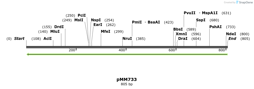 126269_map