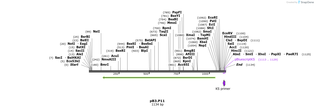 126275_map