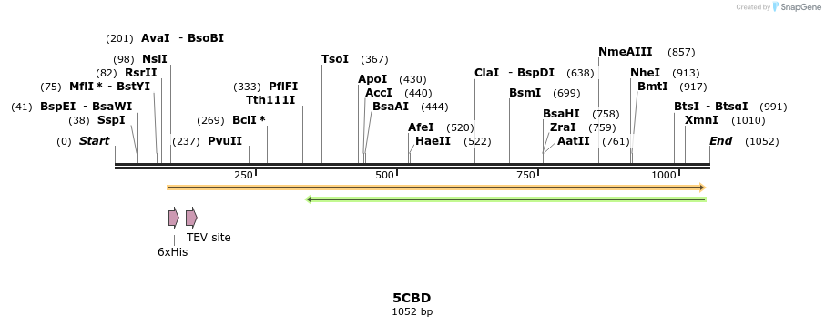 126282_map