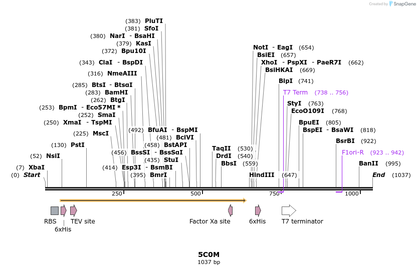 126291_map