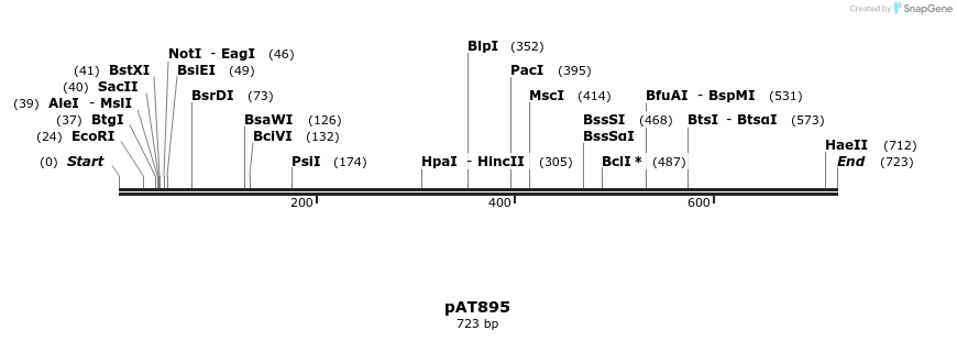 126293_map