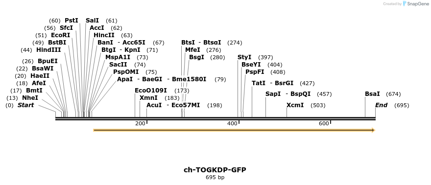 126294_map