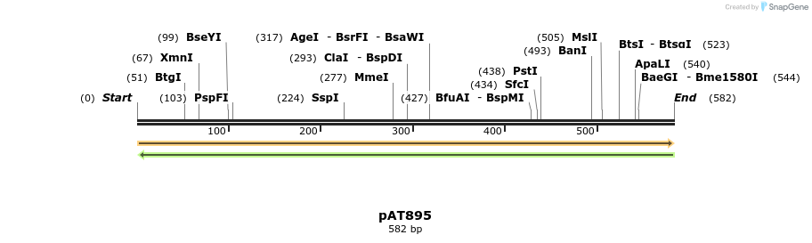 126295_map