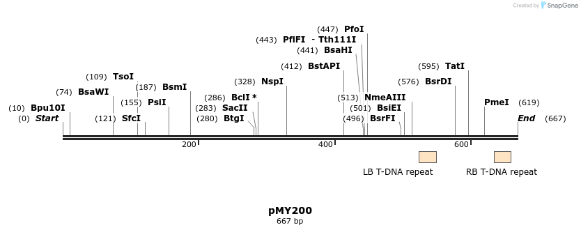 126297_map