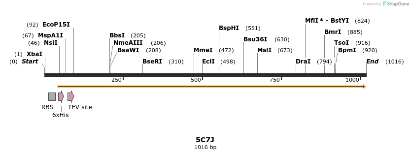 126298_map