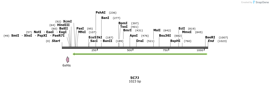 126299_map