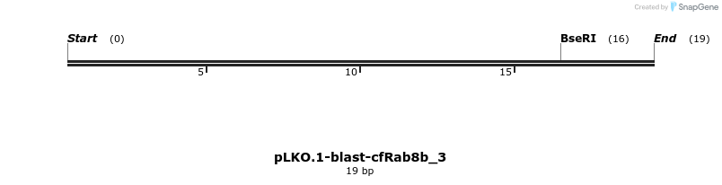 12630_map