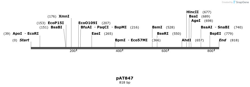 126300_map