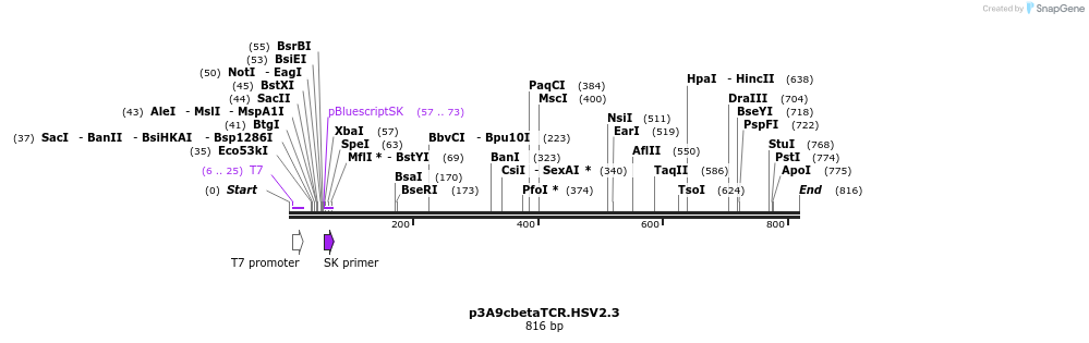 126302_map