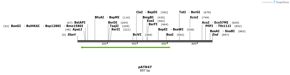126303_map
