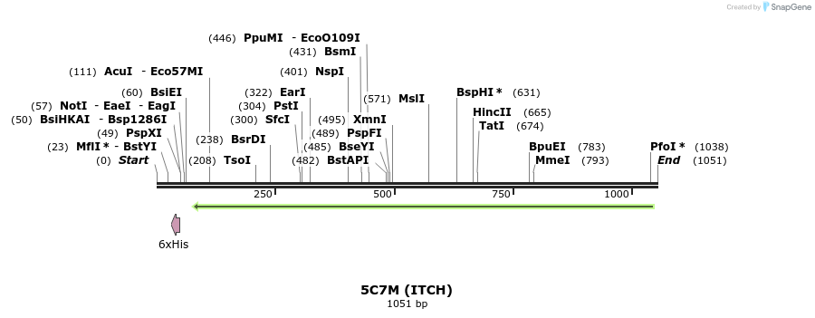 126306_map