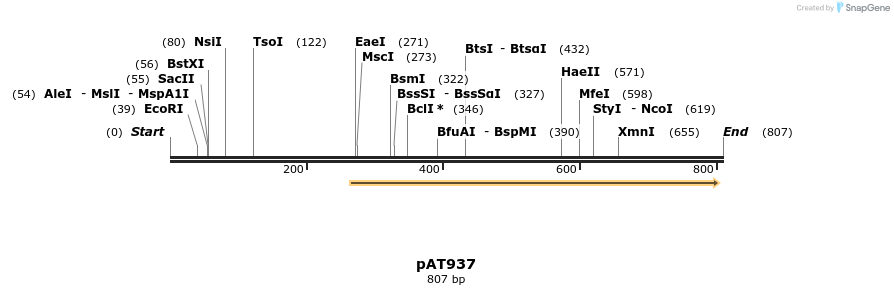 126309_map