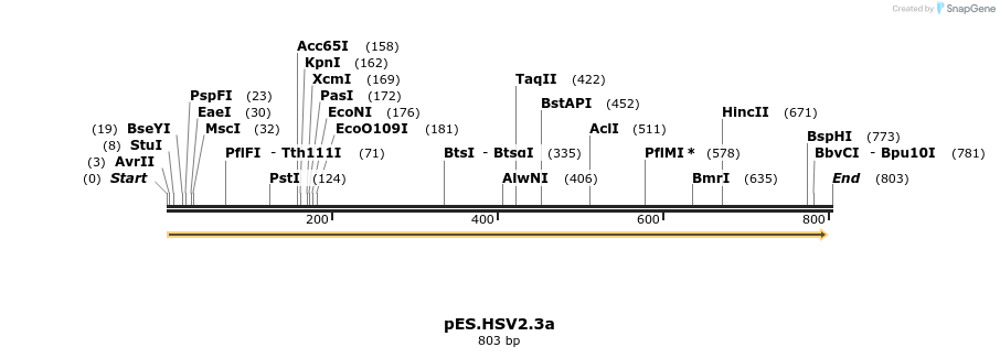126310_map