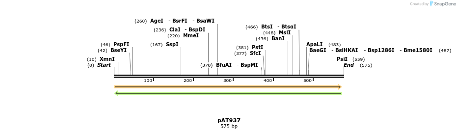 126311_map