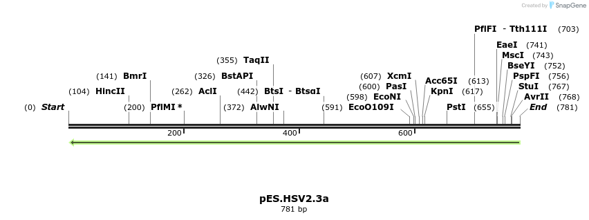 126312_map