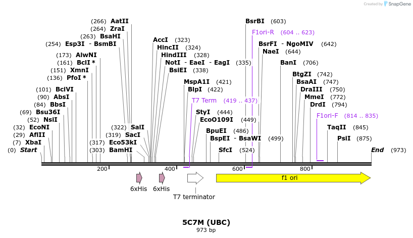 126313_map