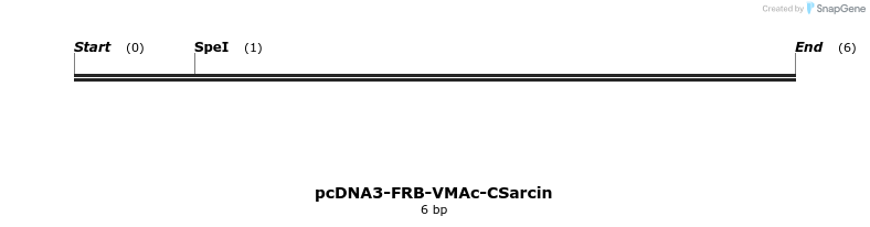 126326_map