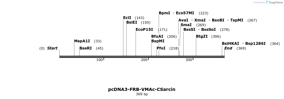 126328_map