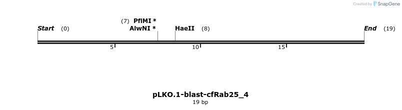 12633_map