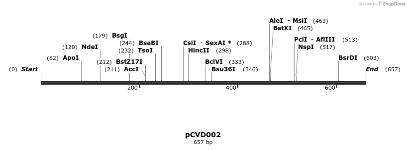 126333_map