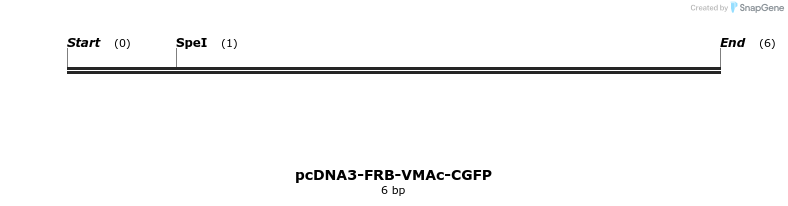126338_map