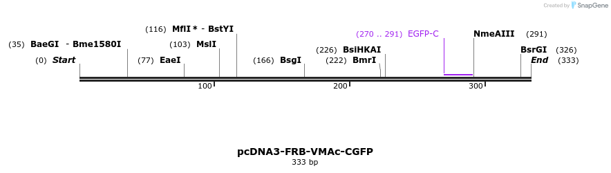 126340_map