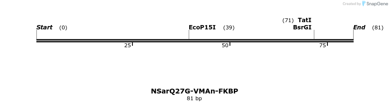 126343_map