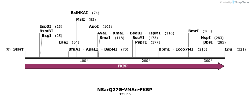 126346_map