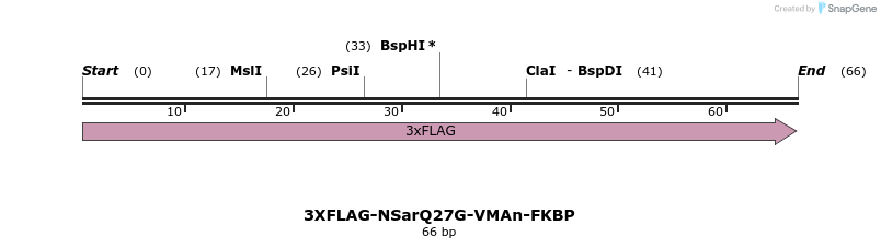 126348_map