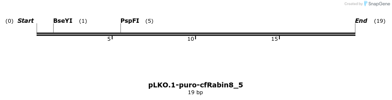 12635_map