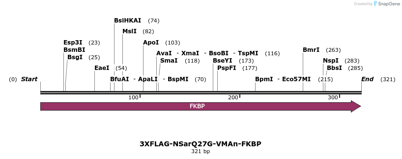 126351_map