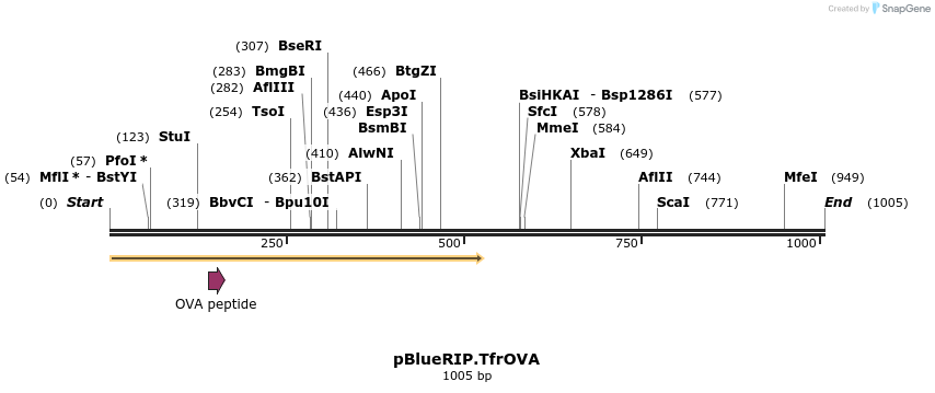 126354_map