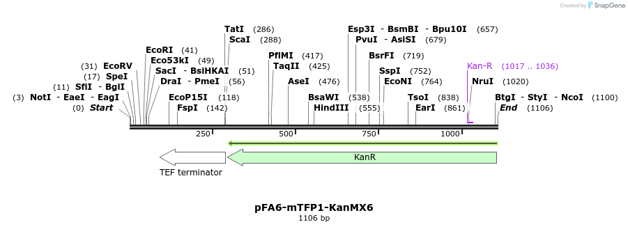 126359_map
