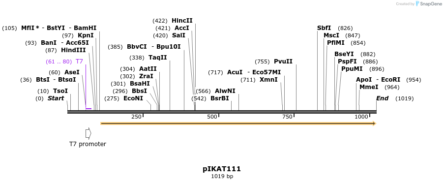 126363_map