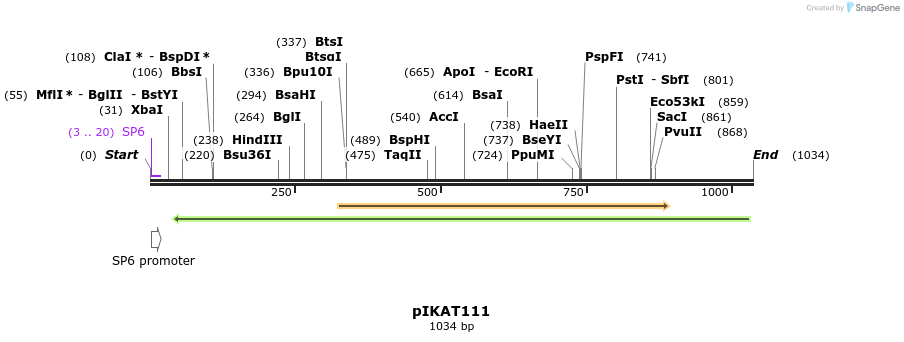126364_map