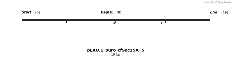 12637_map