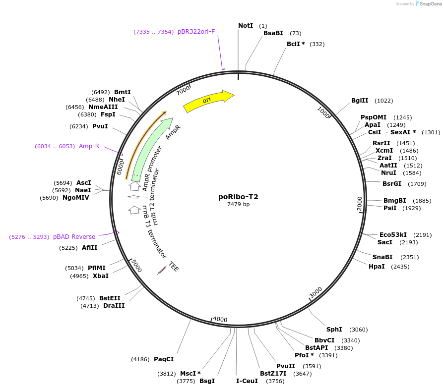 126371_map