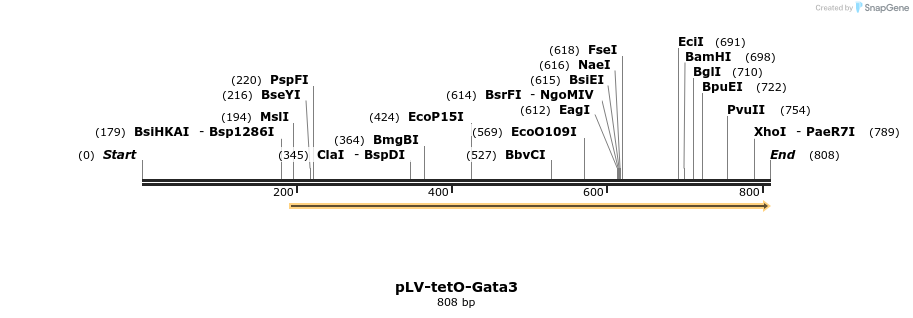 126372_map
