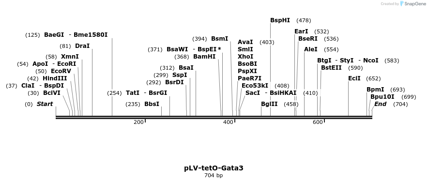 126373_map